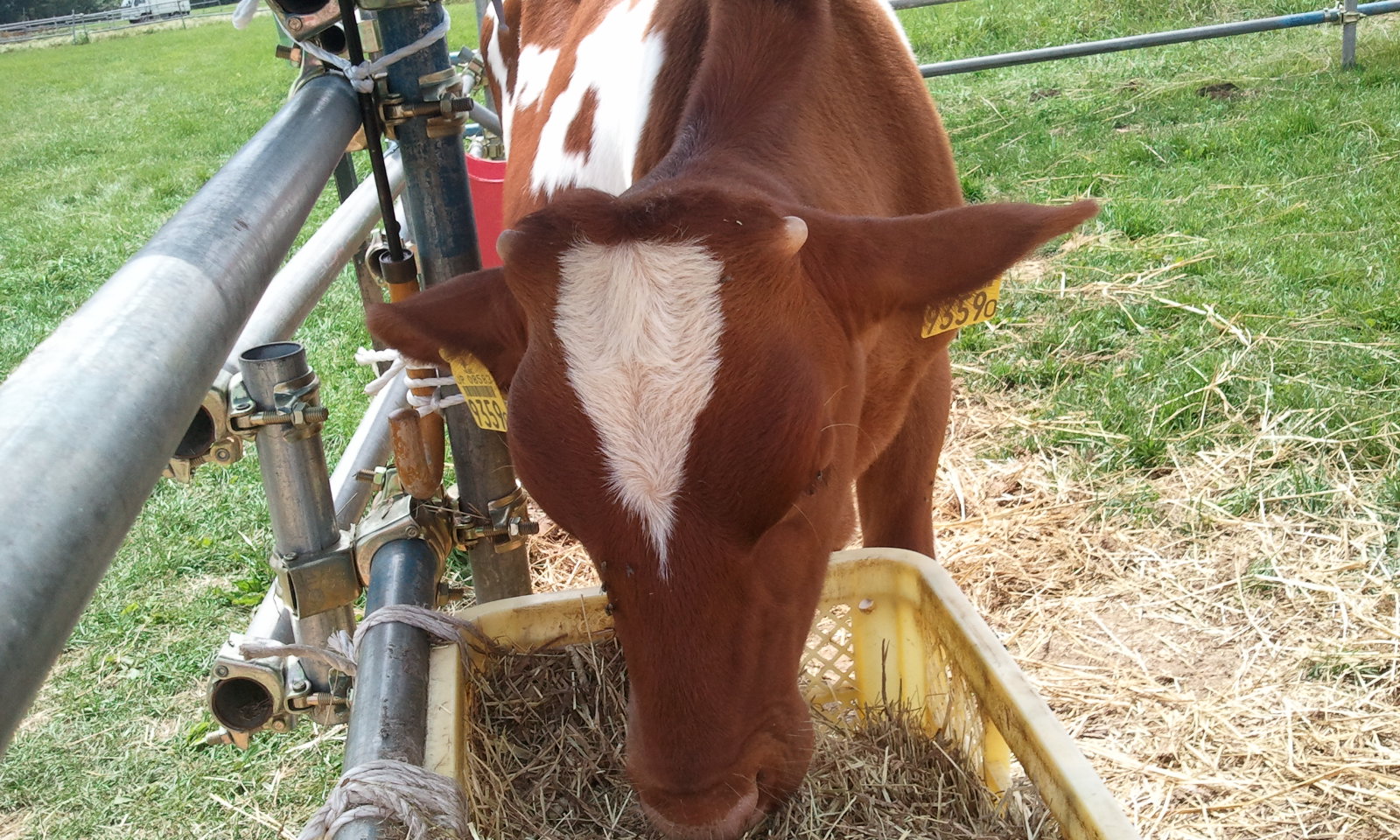 2012-08-11 10.31.47.jpg